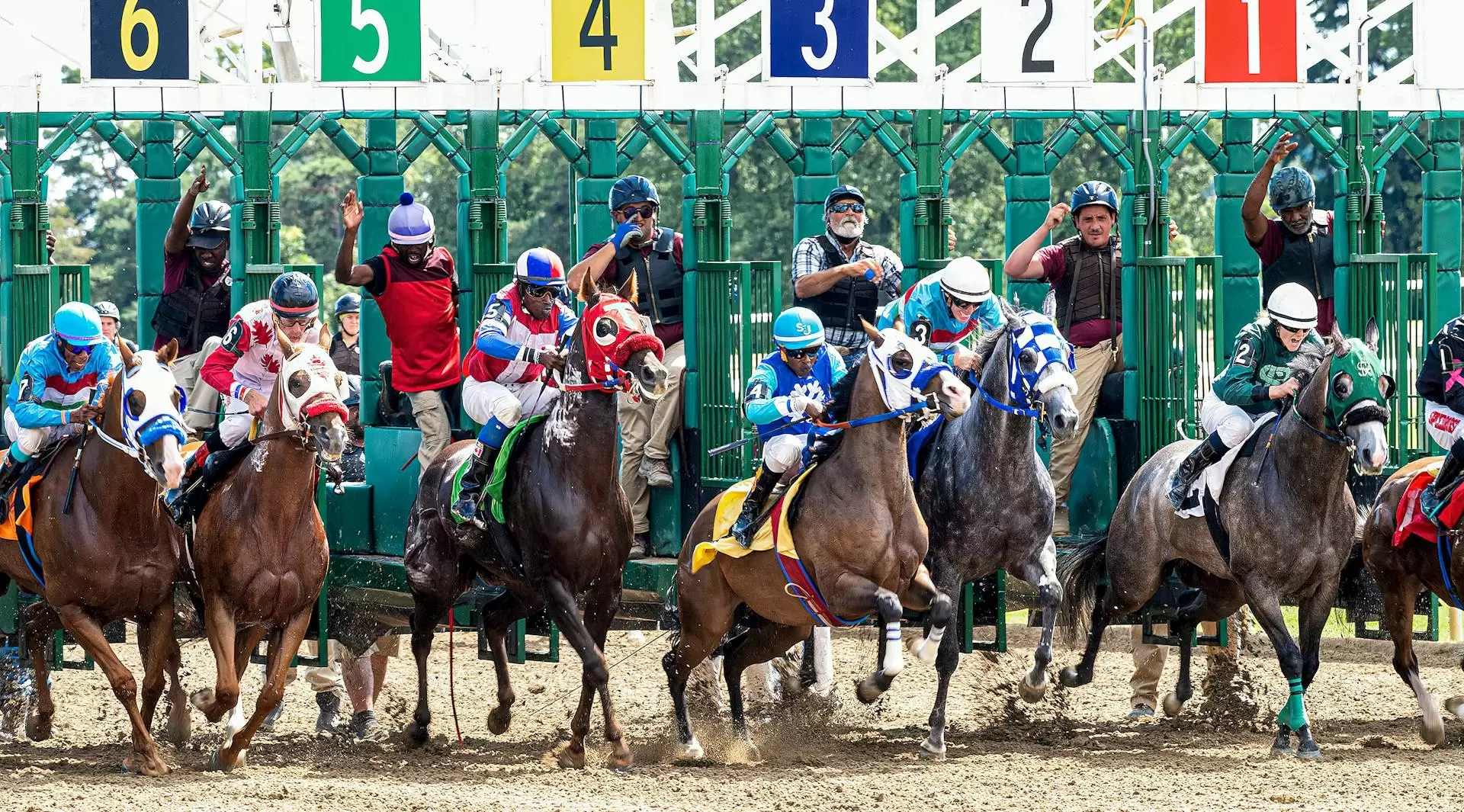 Hong Kong International Horse Show 2026 – Weltklasse Springreiten & Familienevent